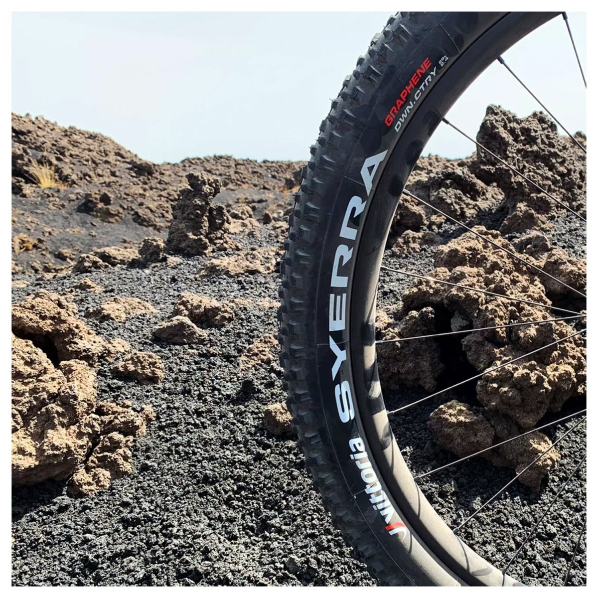 Neumático Vittoria Syerra Downcountry 29 x 2.4 TLR 4C G2.0 - FIERRIDE