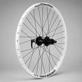 Pack Rueda Trasera 26 Alexrims + Maza Shimano Deore HB - M6000 Center Lock - FIERRIDE
